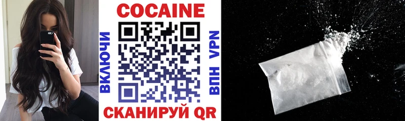 kraken как войти  Сочи  COCAIN Fish Scale 