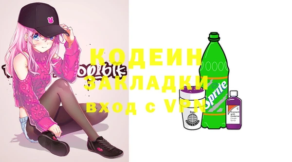 альфа пвп Медвежьегорск