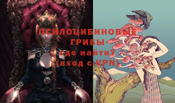 стаф Мегион