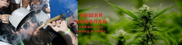 стаф Мегион