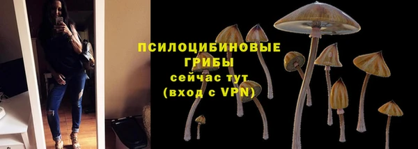 альфа пвп Медвежьегорск