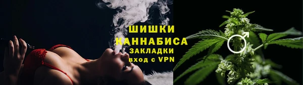 стаф Мегион