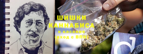 стаф Мегион