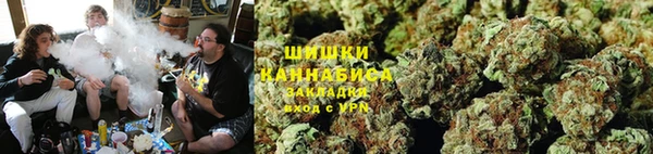 стаф Мегион