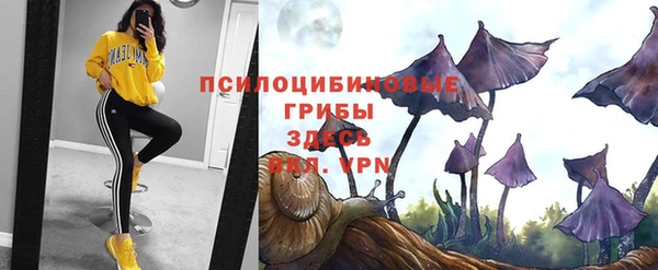 стаф Мегион