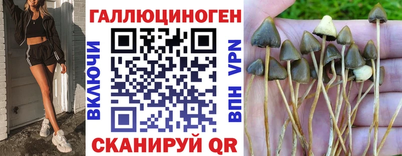 Галлюциногенные грибы Cubensis  Сочи 