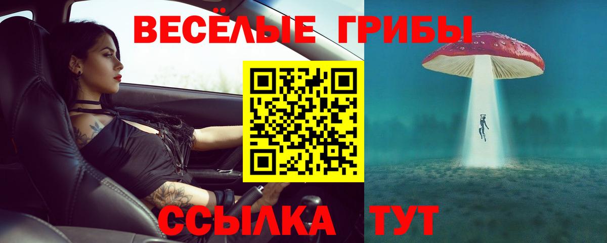 Галлюциногенные грибы Psilocybe Сочи
